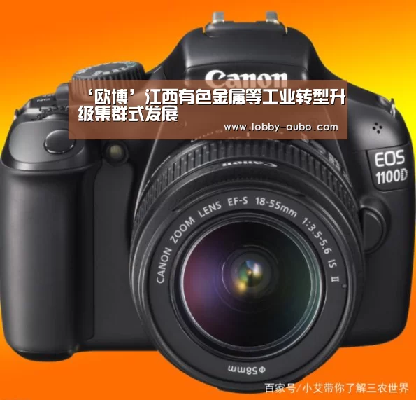 ‘欧博’江西有色金属等工业转型升级集群式发展(图1) 欧博官网