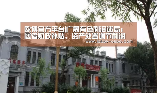 欧博官方平台|广晟有色利润迷局:屡借财政补贴、资产处置调节利润(图4) 欧博官网
