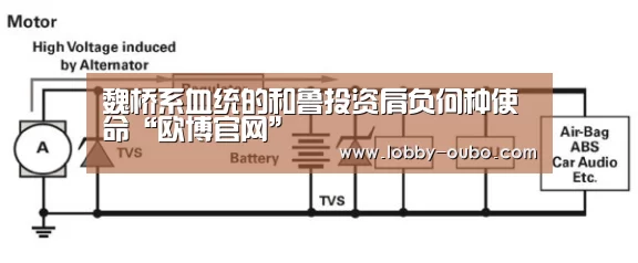 魏桥系血统的和鲁投资肩负何种使命“欧博官网”(图1) 欧博官网