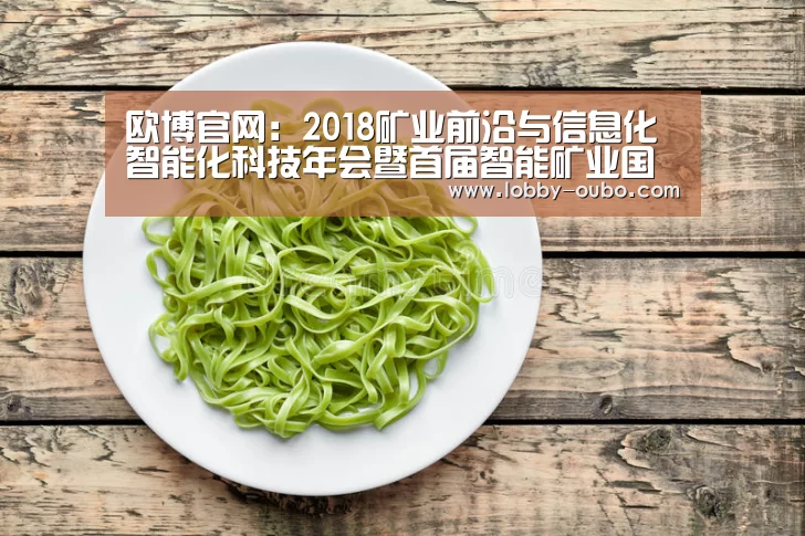 欧博官网:2018矿业前沿与信息化智能化科技年会暨首届智能矿业国际论坛开幕(图4) 欧博官方平台