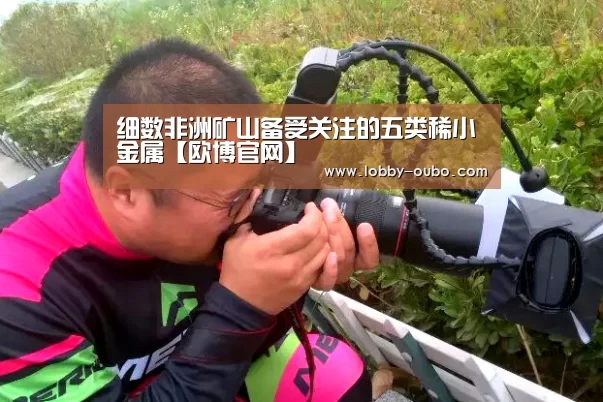 欧博登录入口