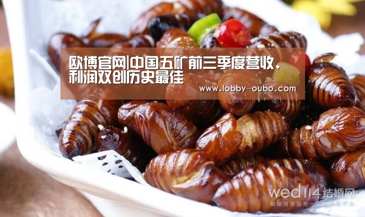 欧博登录入口